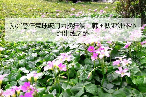 sun-xing-min-ren-yi-qiu-po-men-li-wan-kuang-lan-han-guo-dui-ya-zhou-bei-xiao-zu-chu-xian-zhi-lu-2-977.jpg