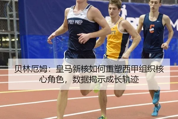 bei-lin-e-mu-huang-ma-xin-he-ru-he-zhong-su-xi-jia-zu-zhi-he-xin-jue-se-shu-ju-jie-shi-cheng-zhang-gui-ji-2-533.jpg