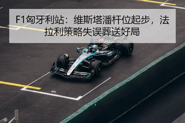 xiong-ya-li-zhan-wei-si-ta-pan-gan-wei-qi-bu-fa-la-li-ce-lve-shi-wu-zang-song-hao-ju-3-100.jpg
